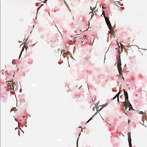 Meet your Posher, Irene